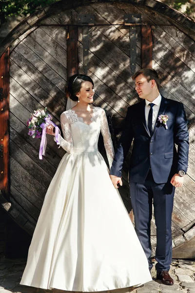 Beautiful brunette bride and handsome groom — Stock Photo, Image