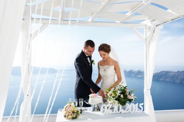 Gelin ve Damat Düğün pastası oyma