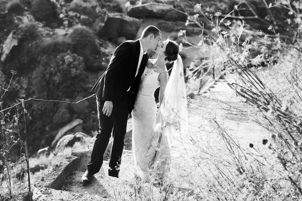 Gelukkige bruid en bruidegom kussen — Stockfoto