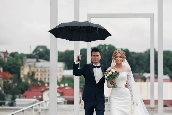 Glückliches Brautpaar posiert — Stockfoto