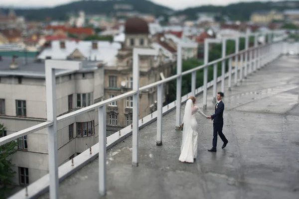 Wunderschöne Braut und schöner Bräutigam posiert — Stockfoto