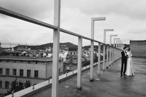 Felice coppia di sposi che si abbracciano — Foto Stock