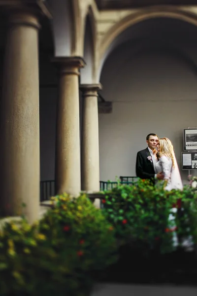 Casal recém-casado viajante bonito — Fotografia de Stock