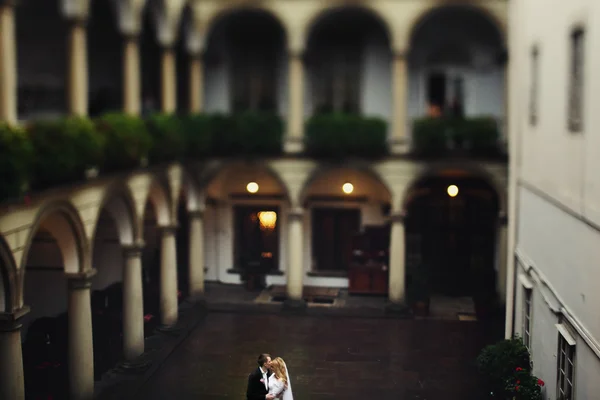 Romántica pareja recién casada posando — Foto de Stock