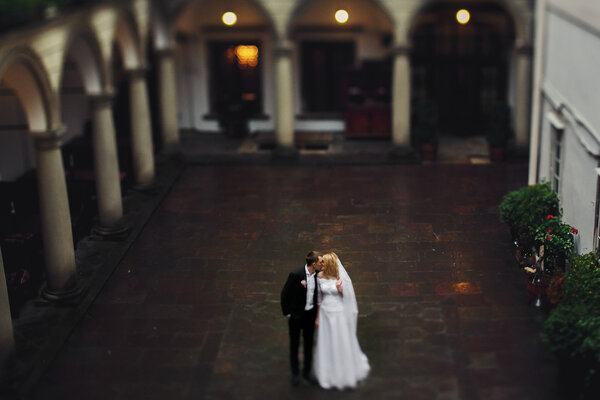 Romantic newlywed couple posing