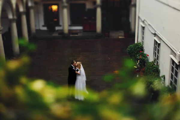 Romántica pareja recién casada posando — Foto de Stock