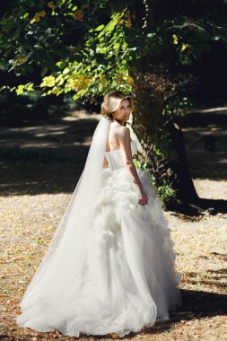 Muhteşem sarışın gelin parkta poz