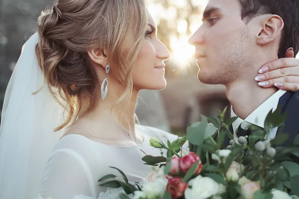 Sensual bride and groom hugging — Stock Photo, Image