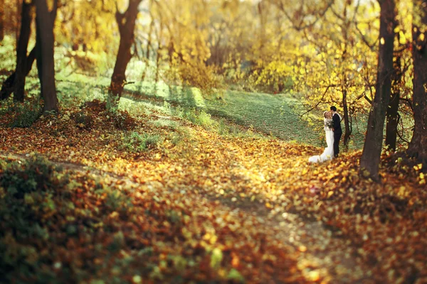 Sarılma romantik masal yeni evli çift — Stok fotoğraf