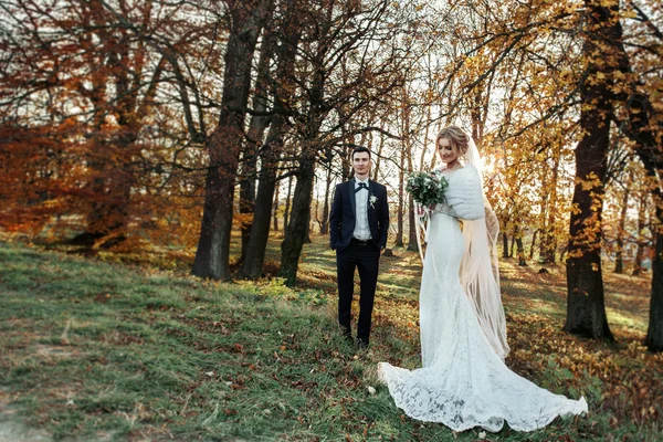 Romantica coppia di sposi appena sposati — Foto Stock