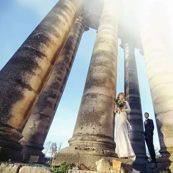 Romantico elegante coppia di sposi — Foto Stock