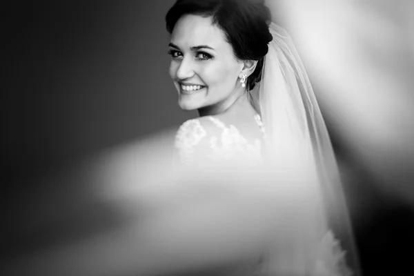 Gorgeous brunette bride — Stock Photo, Image