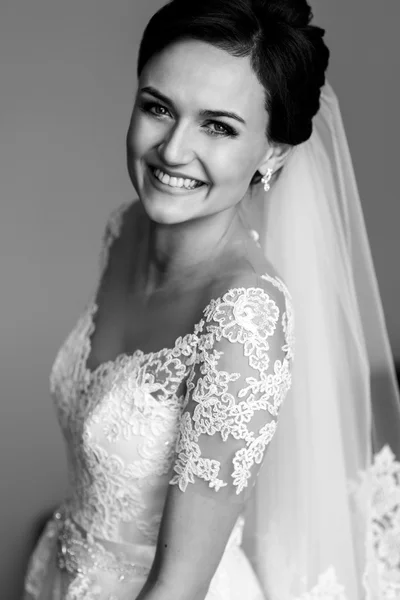 Gorgeous brunette bride — Stock Photo, Image
