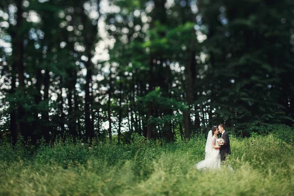 Heureux couple jeune marié mignon — Photo