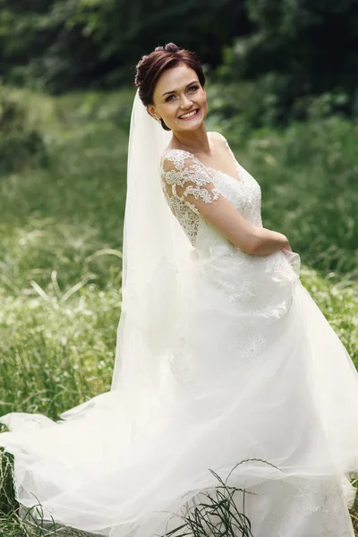 Splendida principessa sposa — Foto Stock