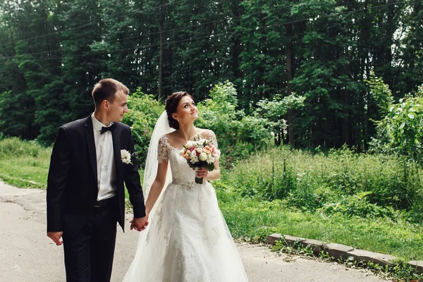 Hermosos novios — Foto de Stock