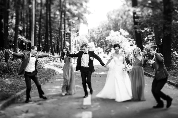 Jonggehuwden met groomsmen en bruidsmeisjes — Stockfoto