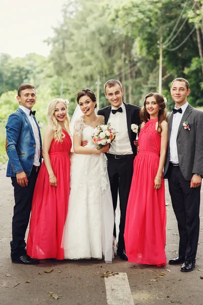 Recién casados con padrinos y damas de honor — Foto de Stock