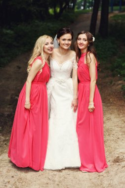 Mutlu gelin ve nedimeleri 