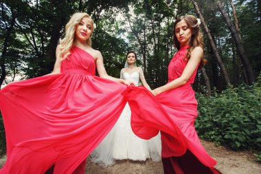 Mutlu gelin ve nedimeleri 