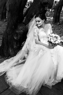 hermosa novia romántica 