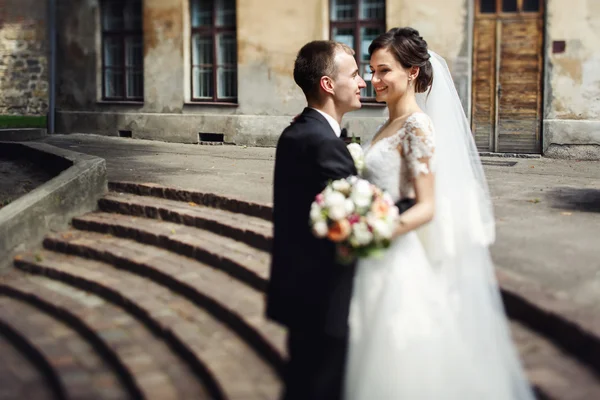 Beautiful newlywed couple — Stock Photo, Image