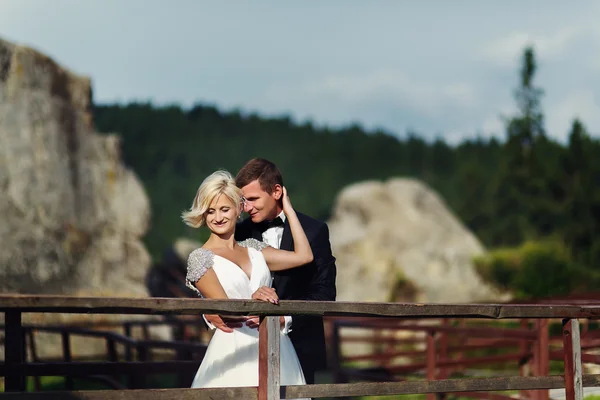 Bruidspaar in een mooie jurk poseren tegen de achtergrond — Stockfoto