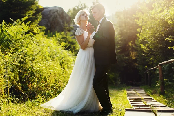 Hochzeitspaar im Wald in den Bergen bei Sonnenuntergang — Stockfoto