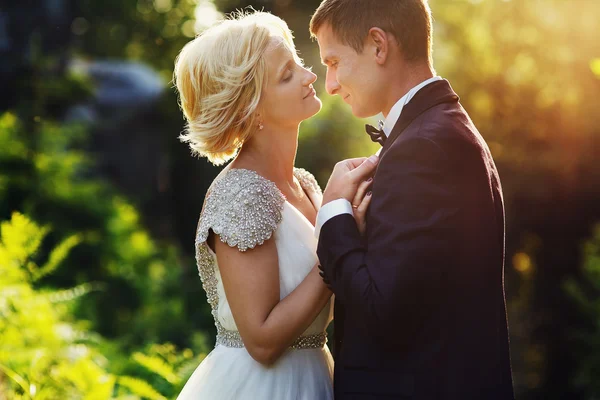 Casamento casal em uma floresta nas montanhas ao pôr do sol — Fotografia de Stock