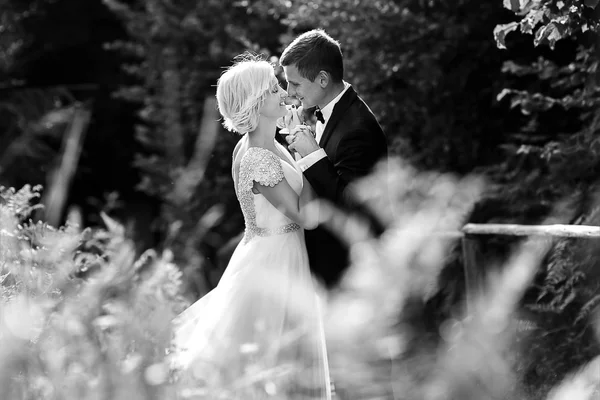 Casamento casal em uma floresta nas montanhas ao pôr do sol — Fotografia de Stock