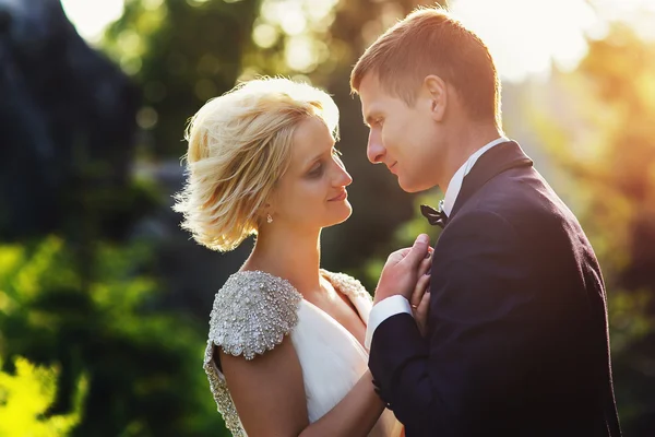 Wedding couple in a forest in the mountains at sunset — Stock Photo, Image