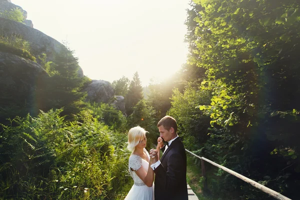 Wedding couple in a forest in the mountains at sunset — Stock Photo, Image