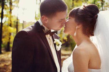 Sonbahar Park'ta yürüyordunuz Düğün çifti