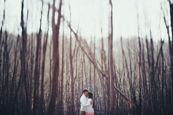Bruid permanent in het bos — Stockfoto
