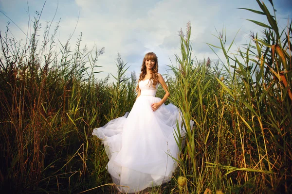 Beautiful bride posing in her wedding day — Stock Photo, Image