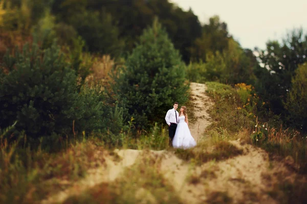 Portret van een bruid en bruidegom in een Grieks eiland op hun bruiloft — Stockfoto