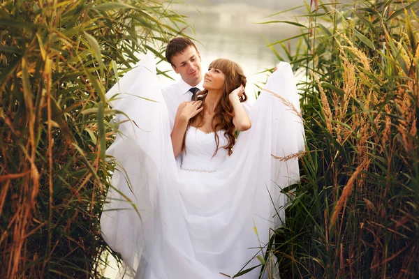 Junges Liebespaar am Hochzeitstag, Strandhochzeit im Freien — Stockfoto