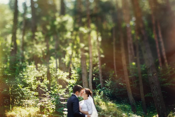 Wedding bride in a sunny forest — Stock Photo, Image