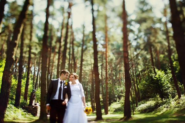 Hochzeitsbraut im sonnigen Wald — Stockfoto