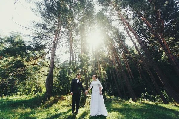 Novia de boda en un bosque soleado — Foto de Stock