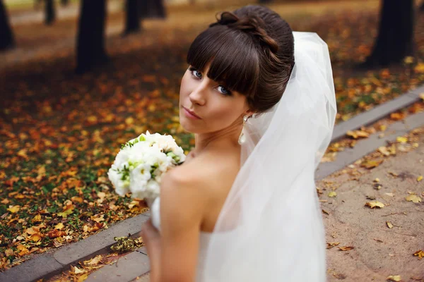 結婚式の肖像画、autm で美しいファッションの花嫁のクローズ アップの — ストック写真