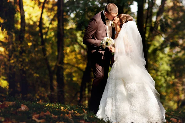 Couple de mariage marchant dans le parc d'automne — Photo