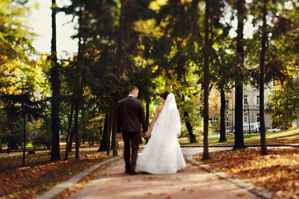 Casamento casal andando no parque de outono — Fotografia de Stock