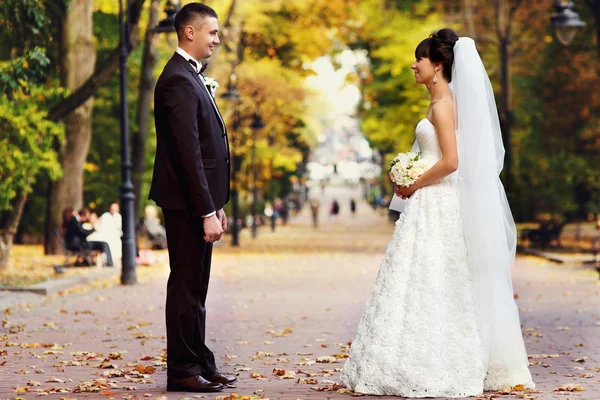 Hochzeitspaar steht in herbstlicher Parkallee — Stockfoto