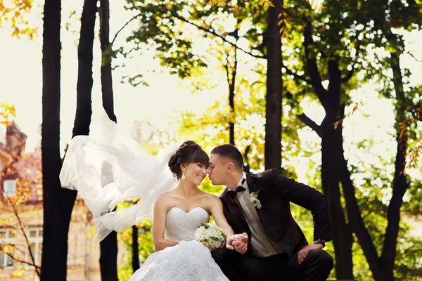 Hochzeitspaar sitzt auf einer Bank im Herbstpark — Stockfoto