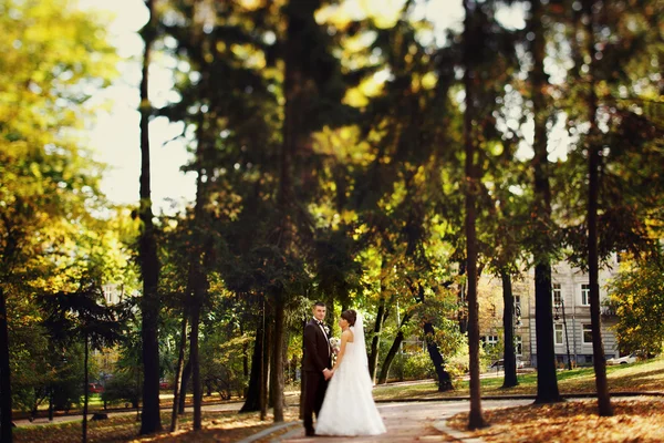 Bröllop par promenader i parken höst — Stockfoto