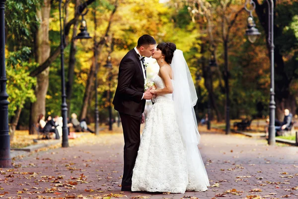 Hochzeitspaar steht in herbstlicher Parkallee — Stockfoto