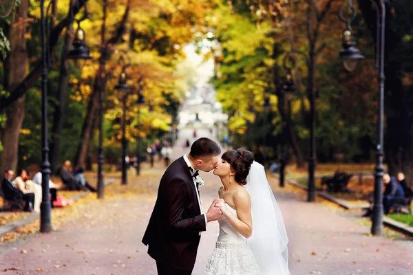 Hochzeitspaar steht in herbstlicher Parkallee — Stockfoto