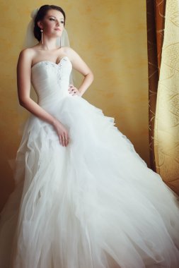 esmer gelin evde küçük bir yumuşak doğurur ile poz