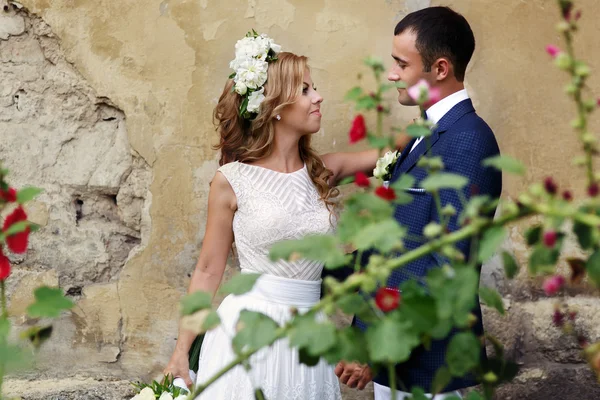 Charming bride and stylish groom standing near bush flowers — Stock Photo, Image